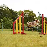 Hof Koehne - Altes - Pony