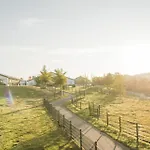 Hof Koehne - Altes - Pony