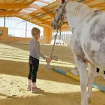 Hof Koehne - Altes - Pony