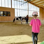 Hof Koehne - Altes - Pony