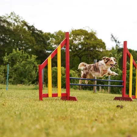 Hof Koehne - Altes - Pony