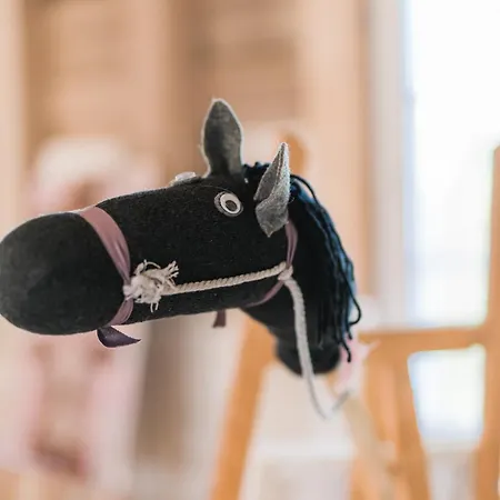 Hof Koehne - Altes - Pony Apartment Schmallenberg