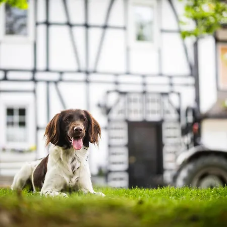 公寓 Hof Koehne - Altes - Pony