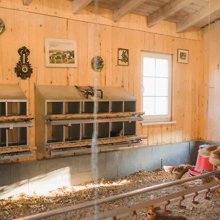 Apartment Hof Koehne - Altes - Pony