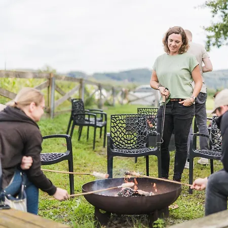 Hof Koehne - Altes - Pony * 施马伦贝格