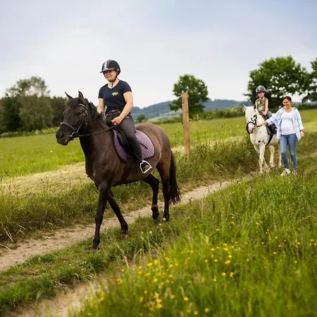 Hof Koehne - Altes - Pony