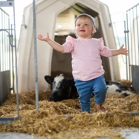 Hof Koehne - Altes - Pony *