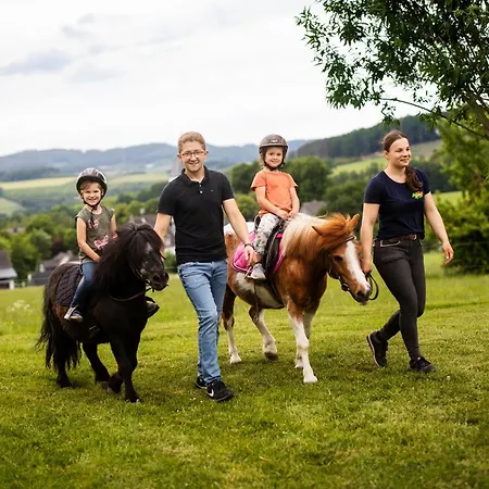 Hof Koehne - Altes - Pony