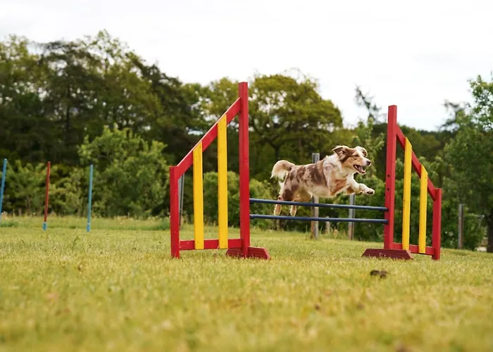 Hof Koehne - Altes - Pony