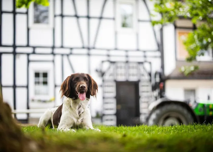 Apartment Hof Koehne - Altes - Pony