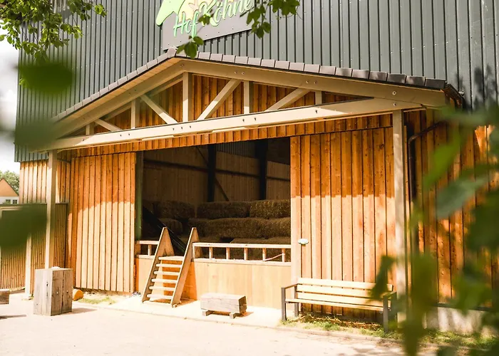 Hof Koehne - Altes - Pony Schmallenberg