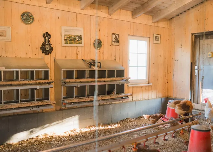 Apartment Hof Koehne - Altes - Pony