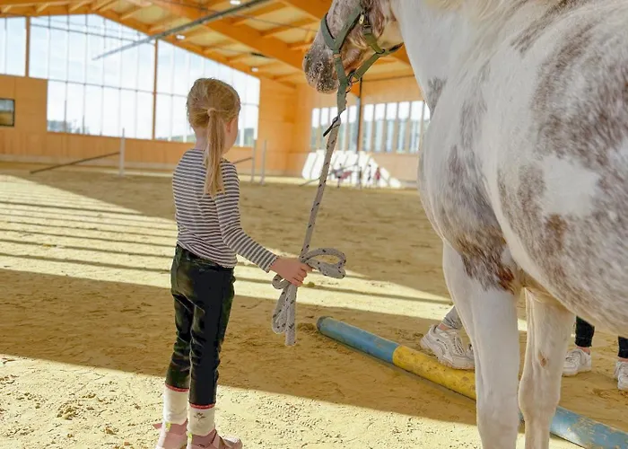 Hof Koehne - Altes - Pony