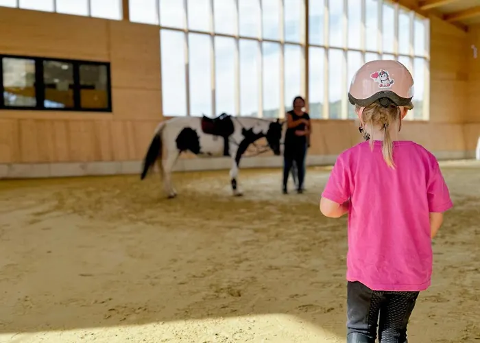 Hof Koehne - Altes - Pony